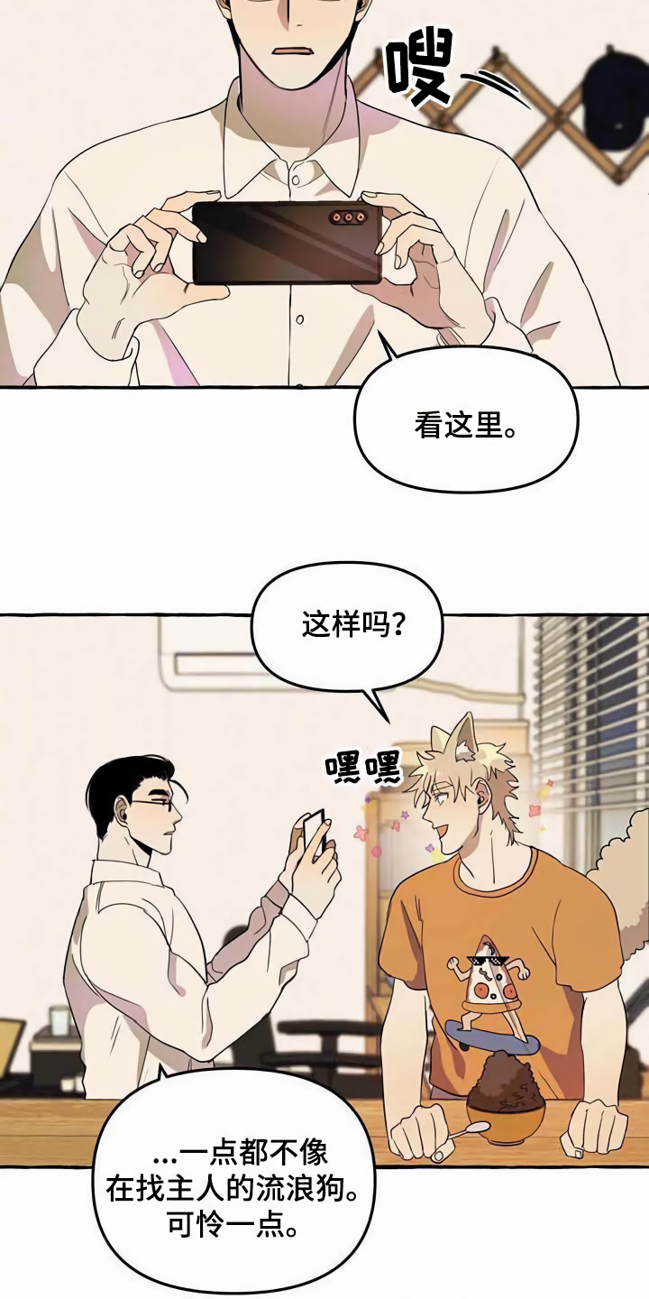 《忠犬三三》第3章取名 第13页