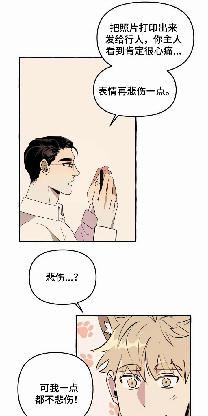 《忠犬三三》第3章取名 第14页