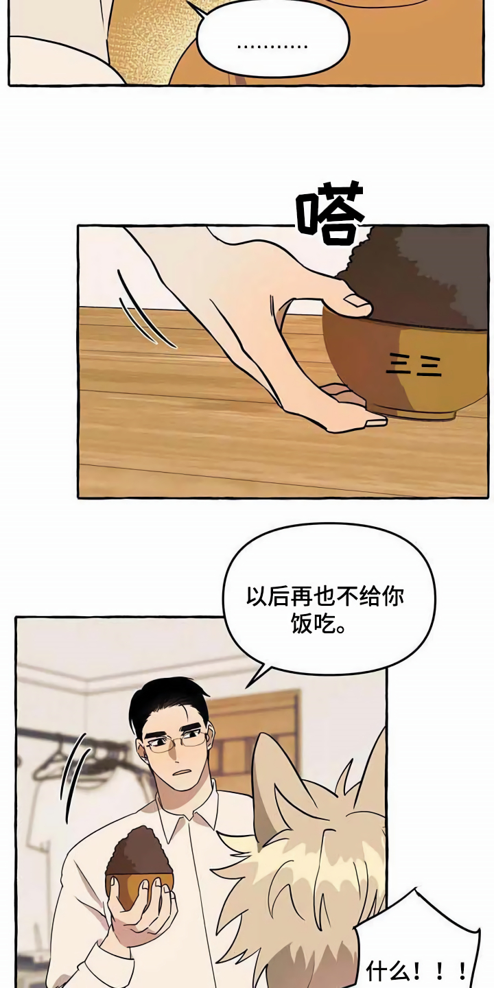 《忠犬三三》第3章取名 第16页
