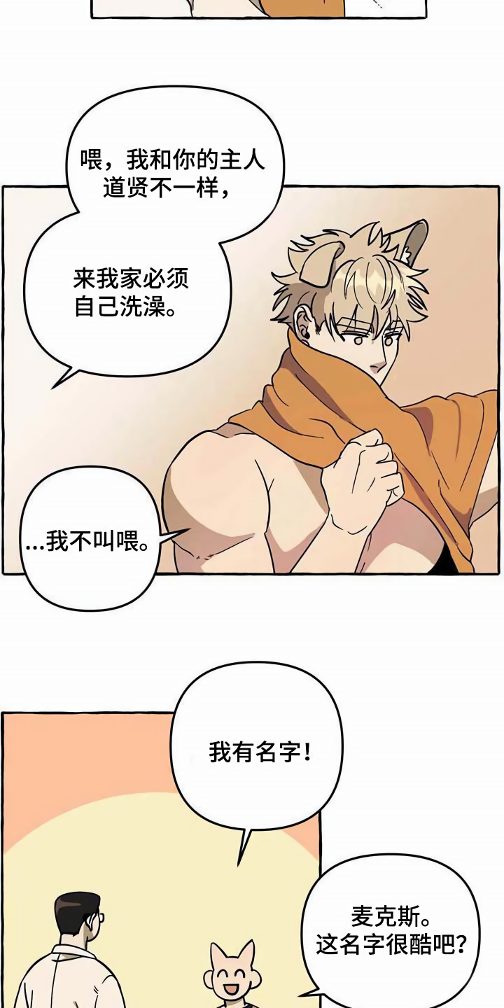 《忠犬三三》第3章取名 第7页