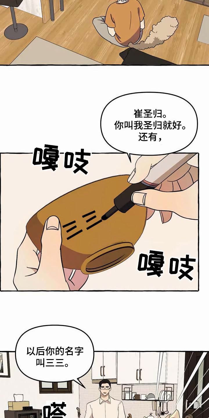 《忠犬三三》第3章取名 第9页