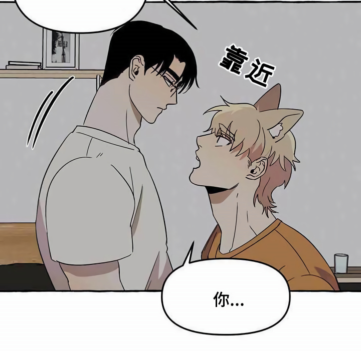 《忠犬三三》第4章请求 第10页