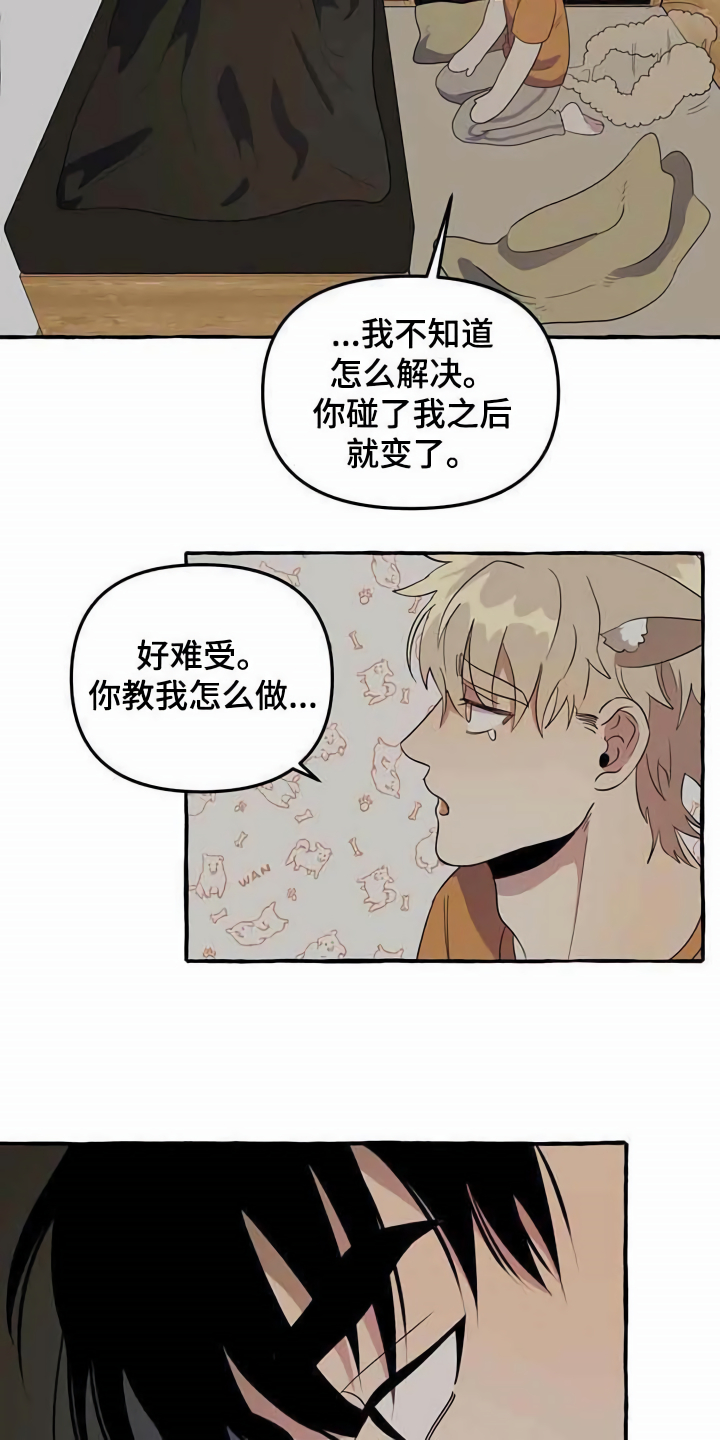 《忠犬三三》第4章请求 第5页