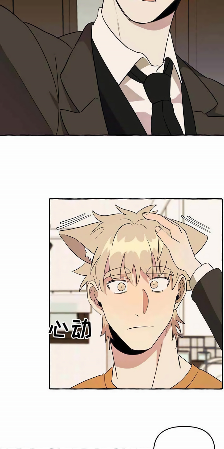 《忠犬三三》第6章前妻 第8页