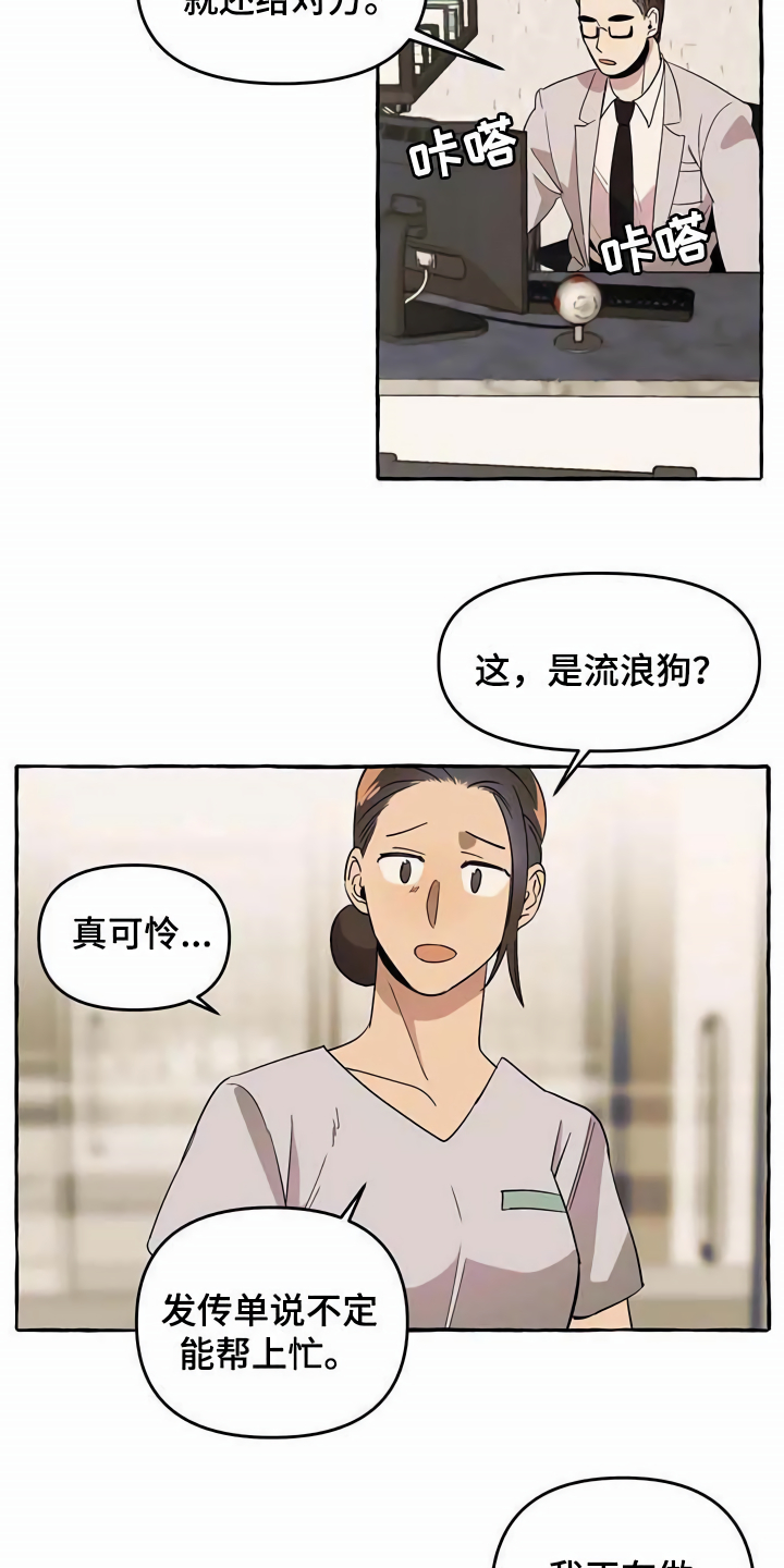 《忠犬三三》第5章传单 第13页
