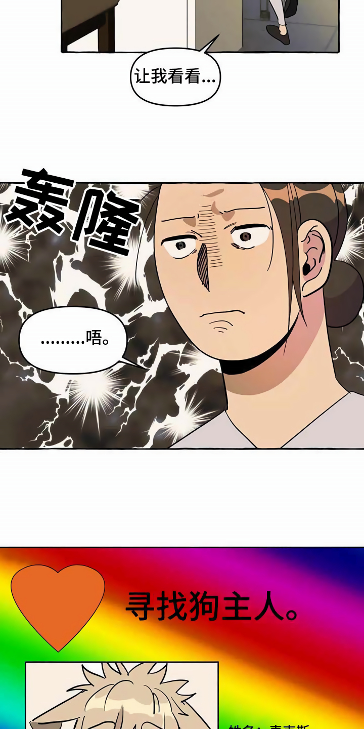 《忠犬三三》第5章传单 第15页