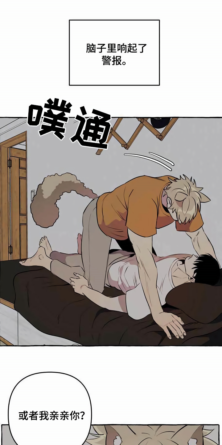 《忠犬三三》第8章无法拒绝 第14页