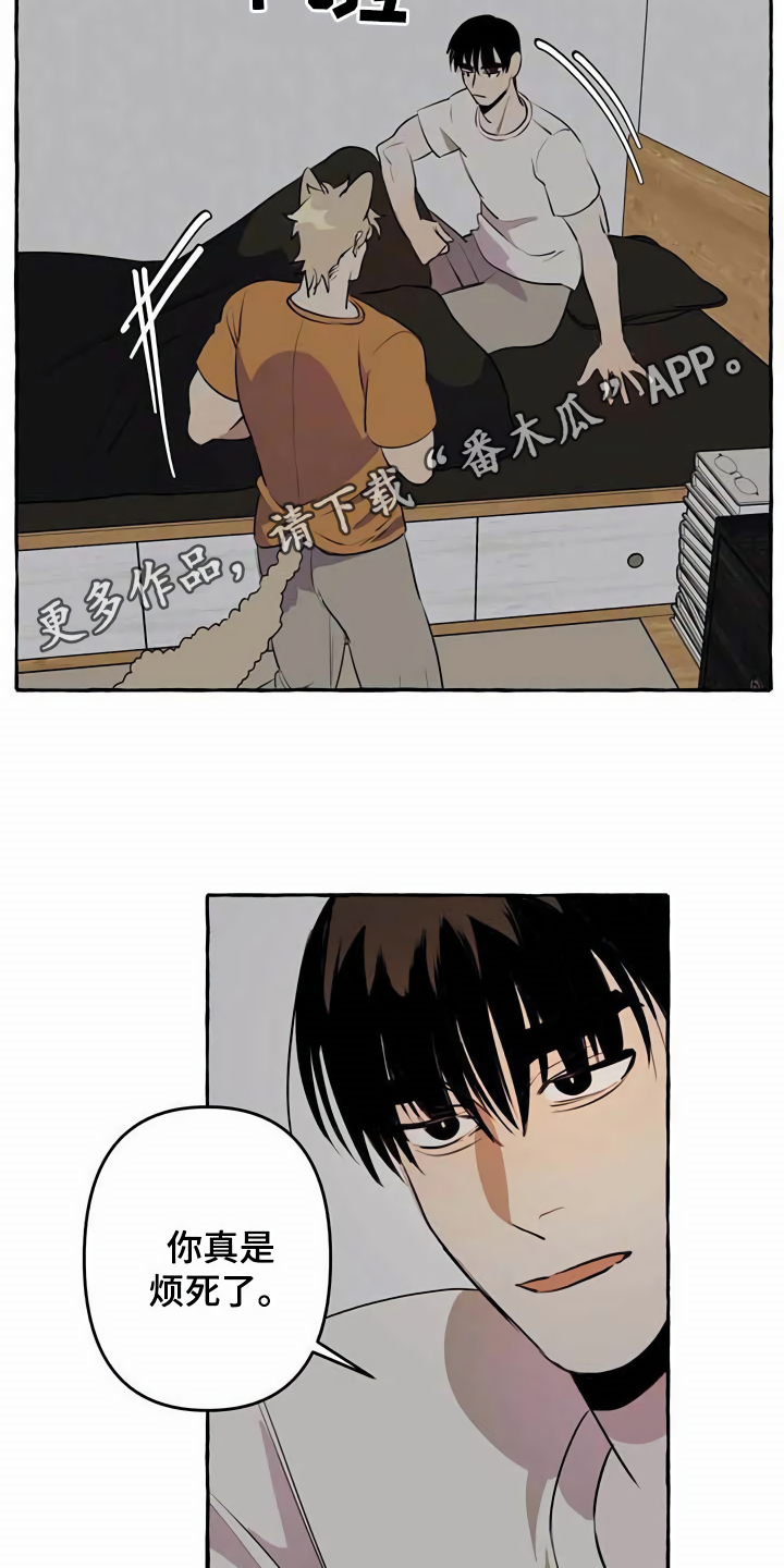 《忠犬三三》第8章无法拒绝 第9页