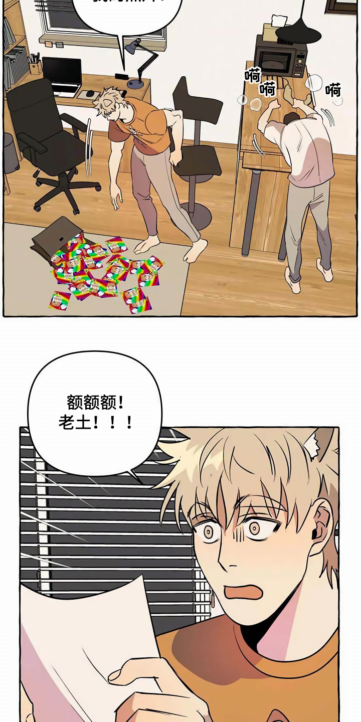 《忠犬三三》第7章心累 第13页