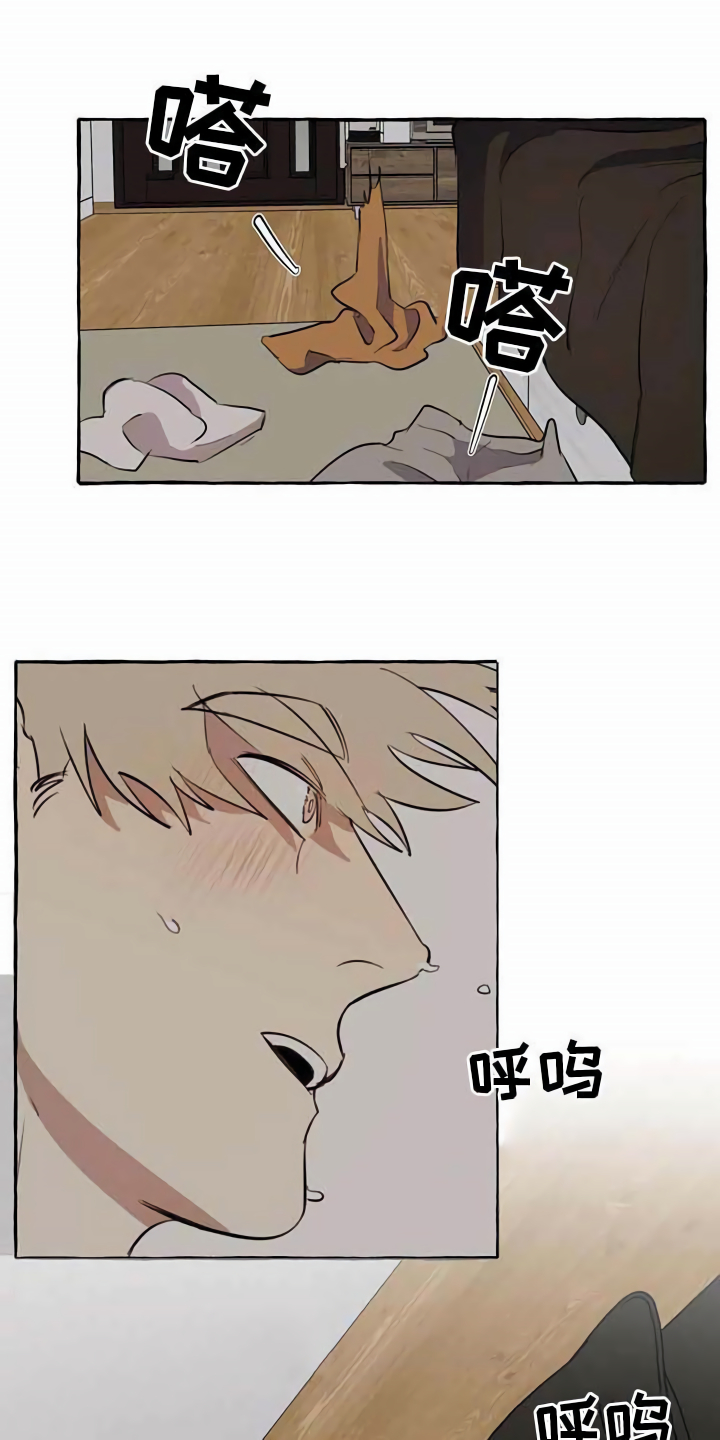 《忠犬三三》第9章特殊感受 第1页