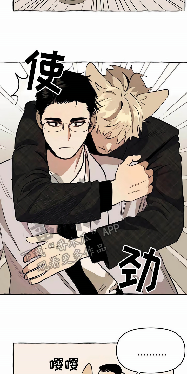 《忠犬三三》第11章不老实 第15页