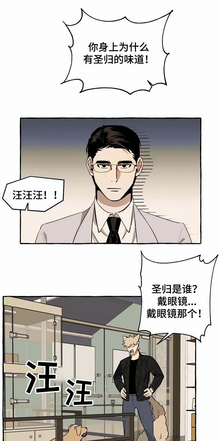 《忠犬三三》第11章不老实 第1页
