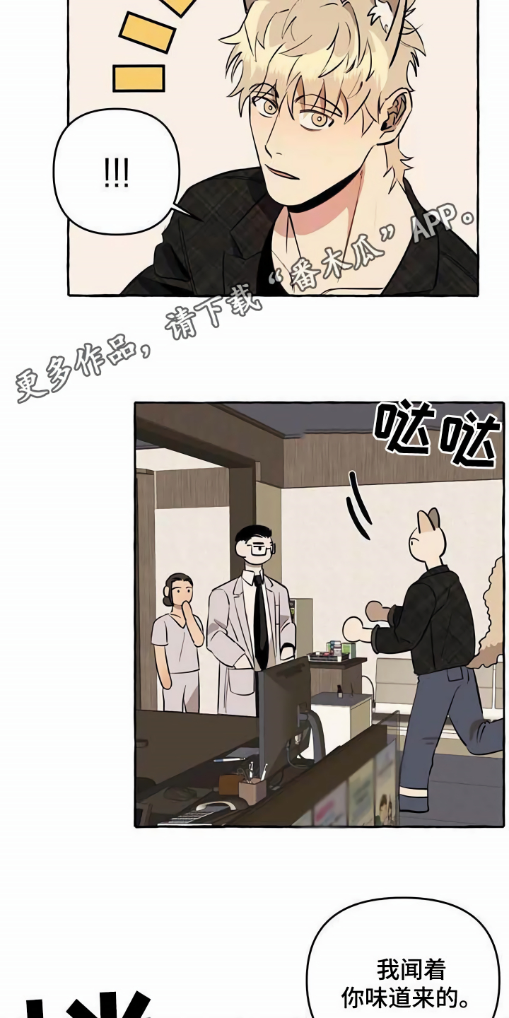 《忠犬三三》第11章不老实 第4页