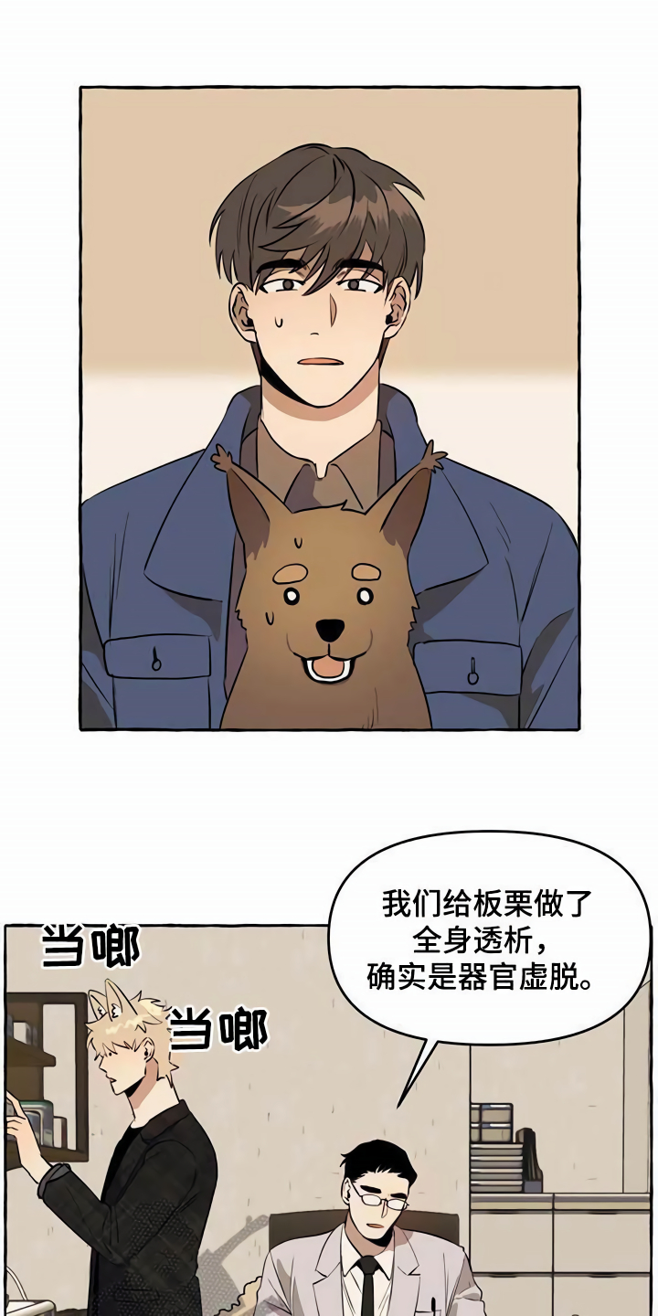 《忠犬三三》第12章善良 第1页