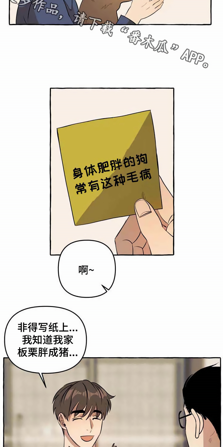 《忠犬三三》第12章善良 第4页