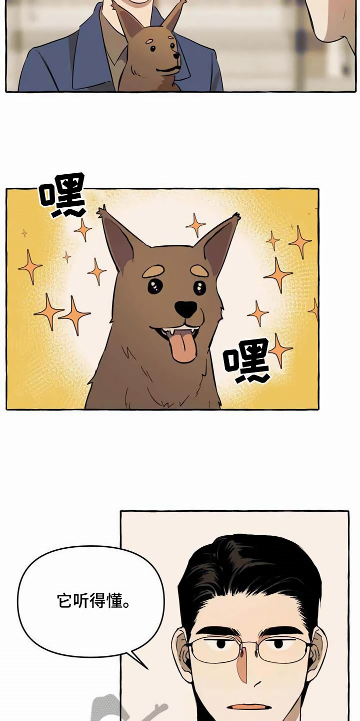 《忠犬三三》第12章善良 第5页