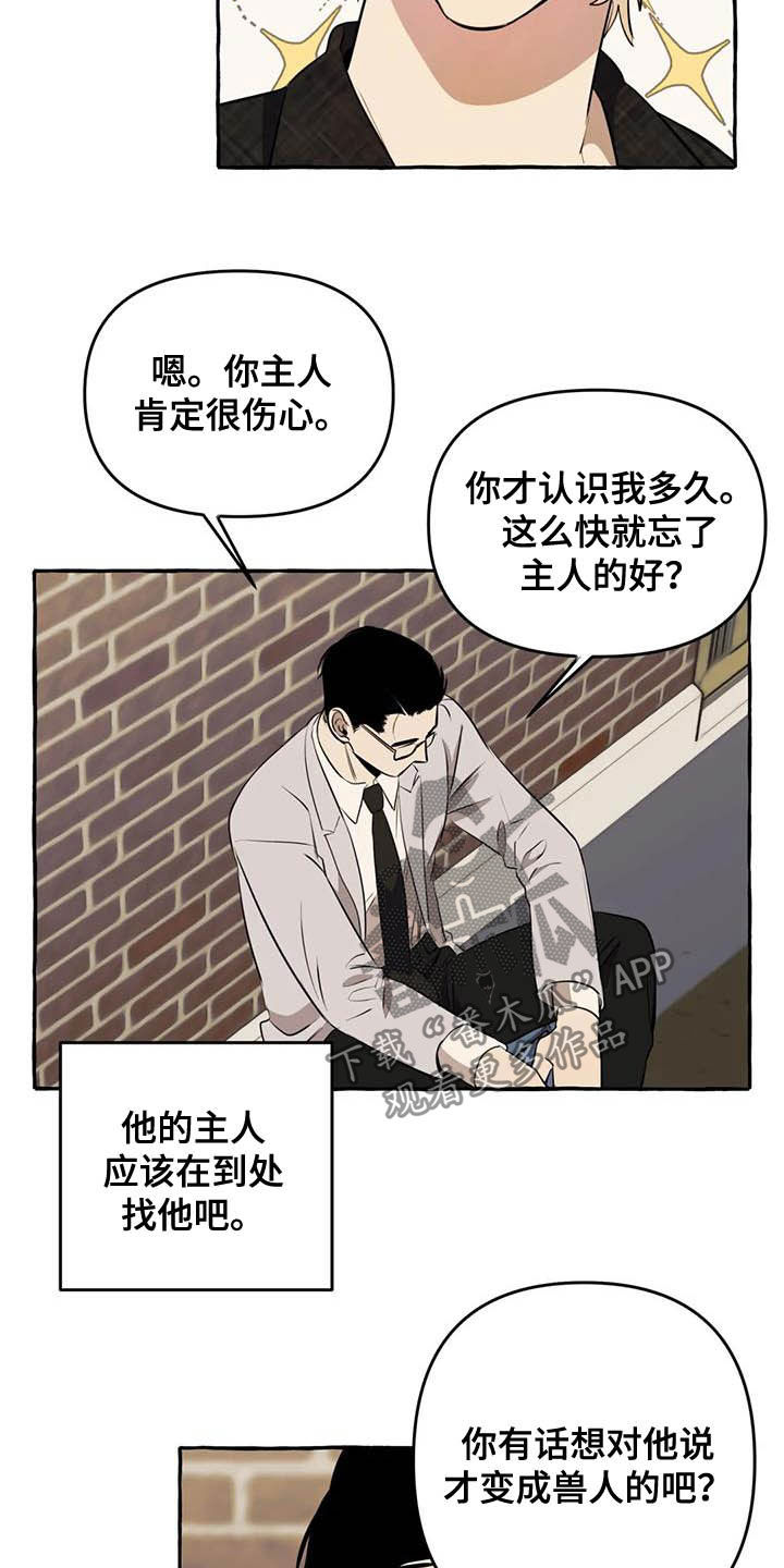 《忠犬三三》第15章第一句话 第13页