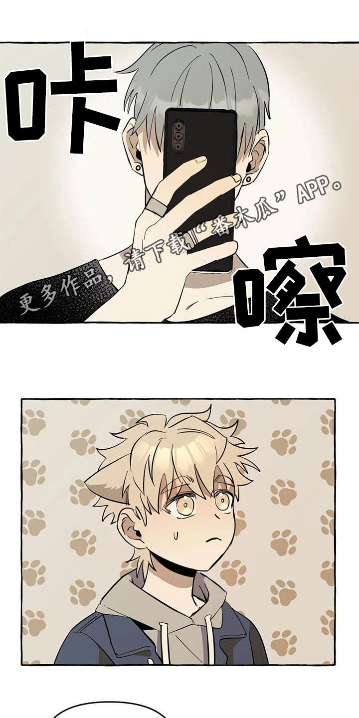 《忠犬三三》第13章对比 第1页
