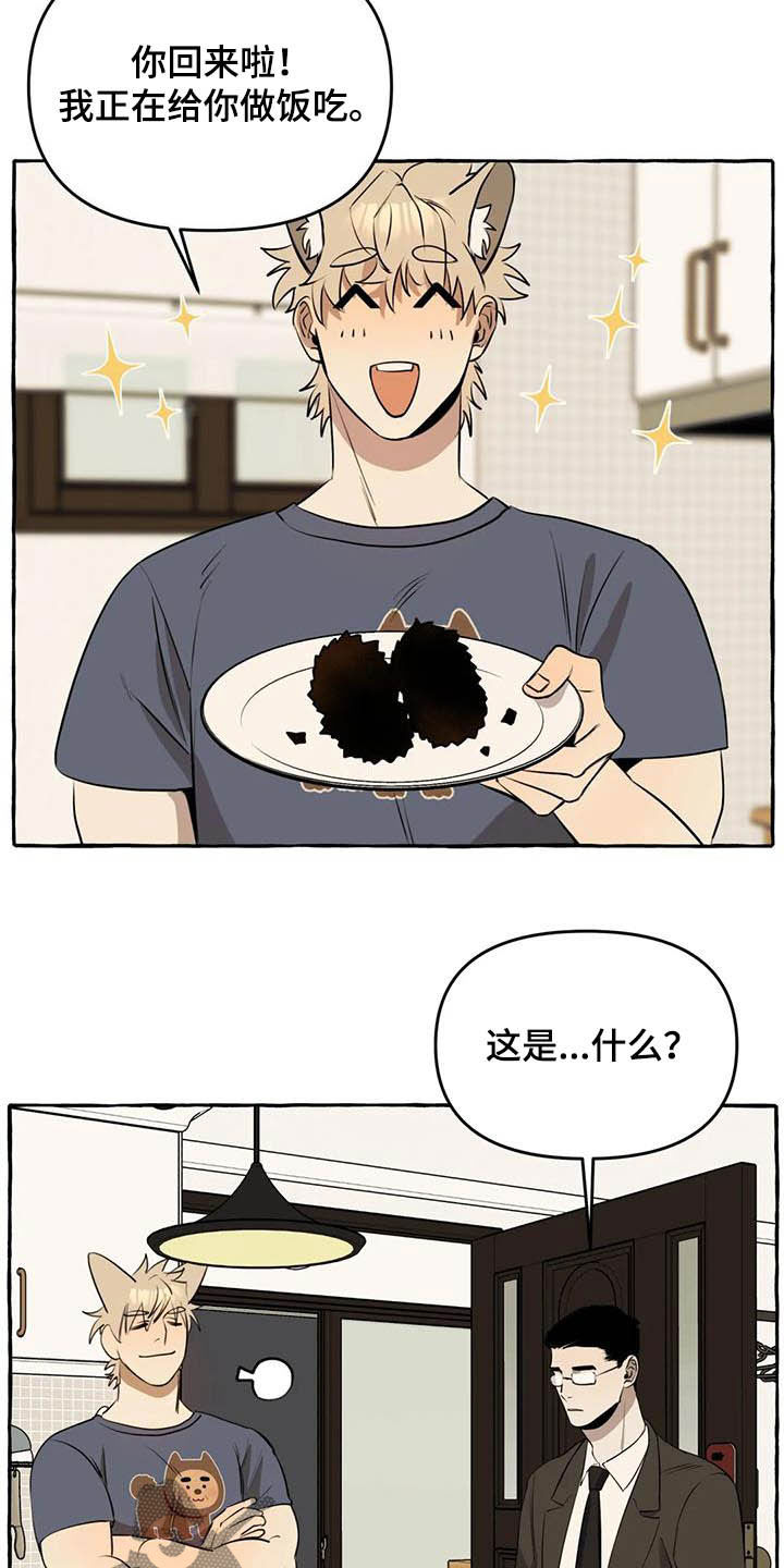 《忠犬三三》第16章做饭 第15页