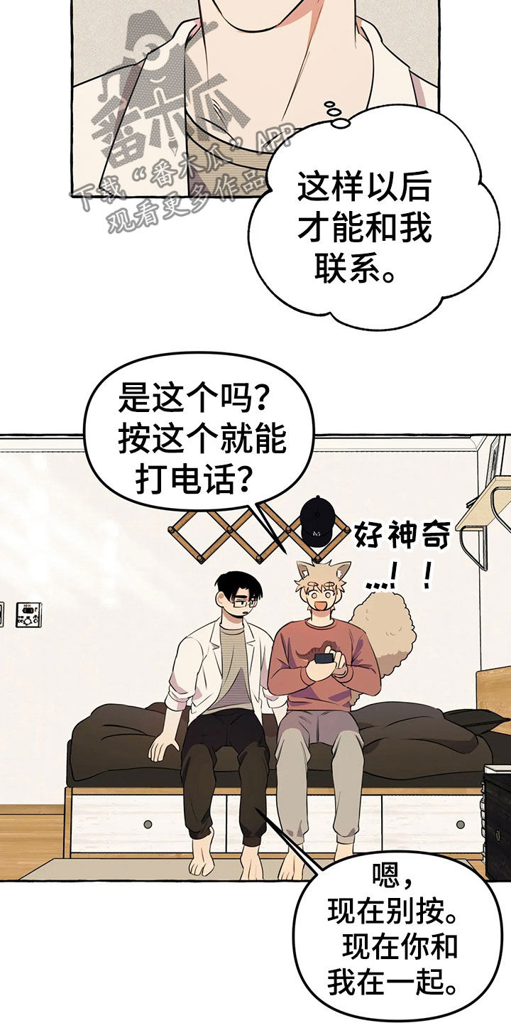 《忠犬三三》第20章手机 第11页