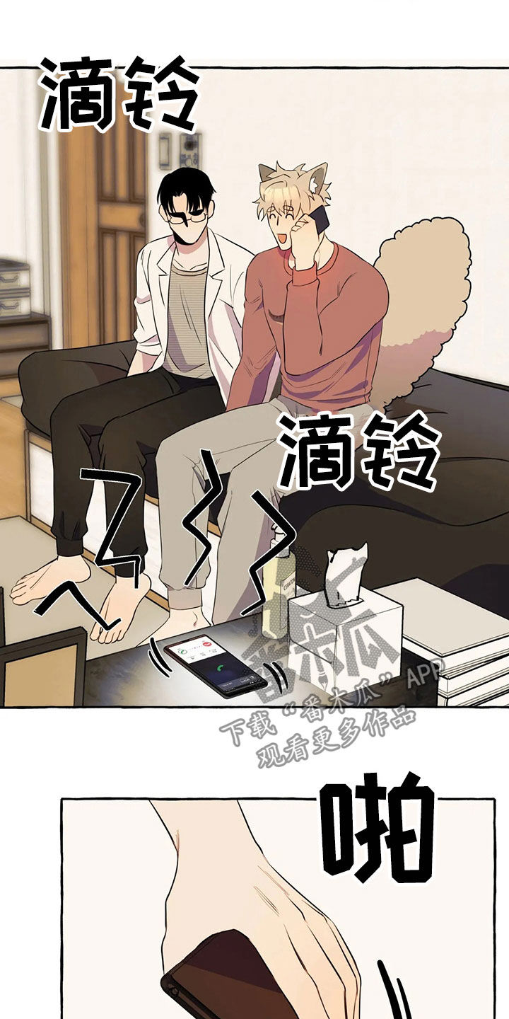 《忠犬三三》第20章手机 第12页