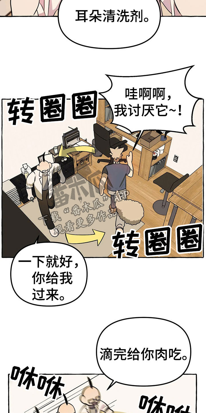 《忠犬三三》第20章手机 第2页