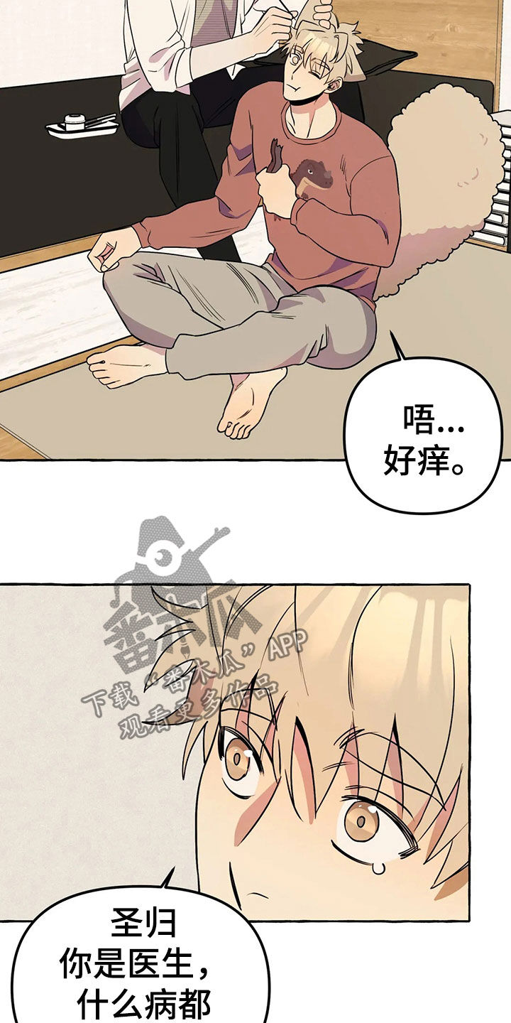 《忠犬三三》第20章手机 第5页