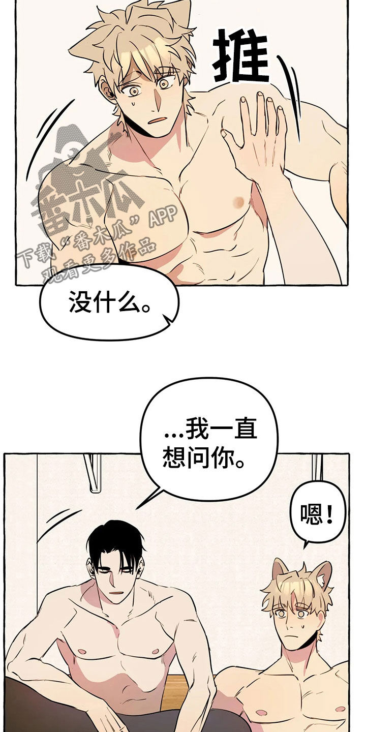 《忠犬三三》第19章新衣服 第6页