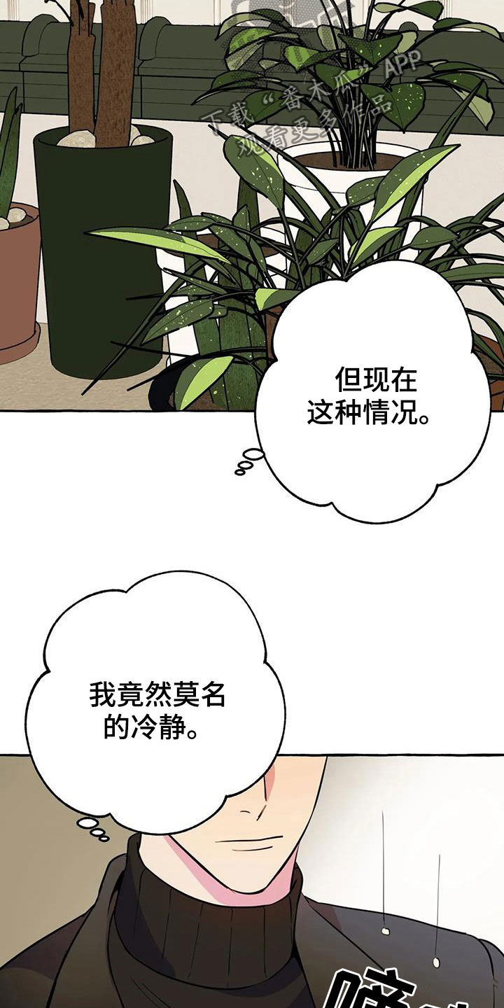 《忠犬三三》第22章命中注定 第11页