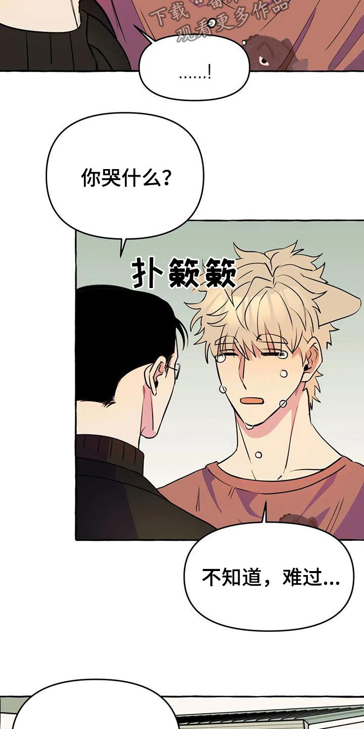 《忠犬三三》第22章命中注定 第13页