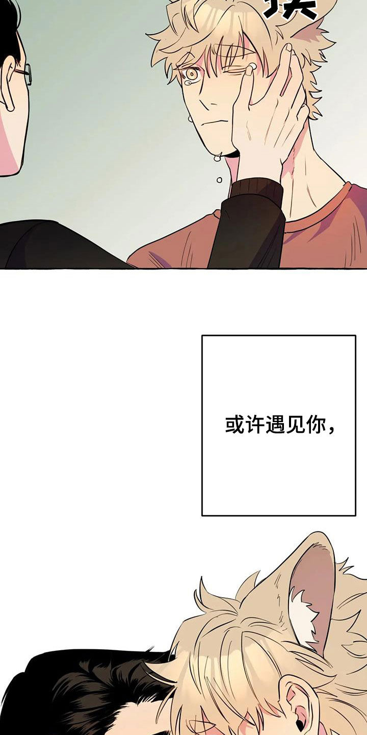 《忠犬三三》第22章命中注定 第15页