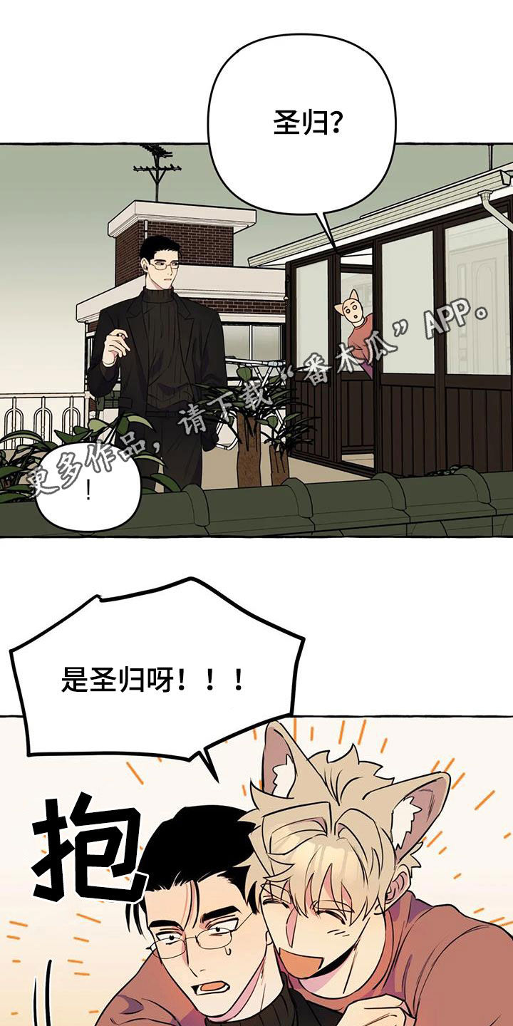 《忠犬三三》第22章命中注定 第1页
