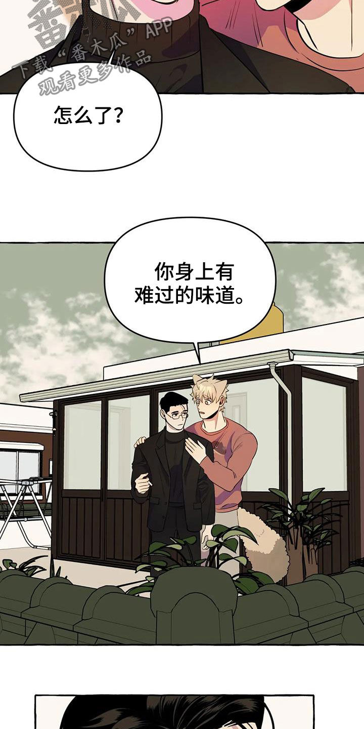 《忠犬三三》第22章命中注定 第5页