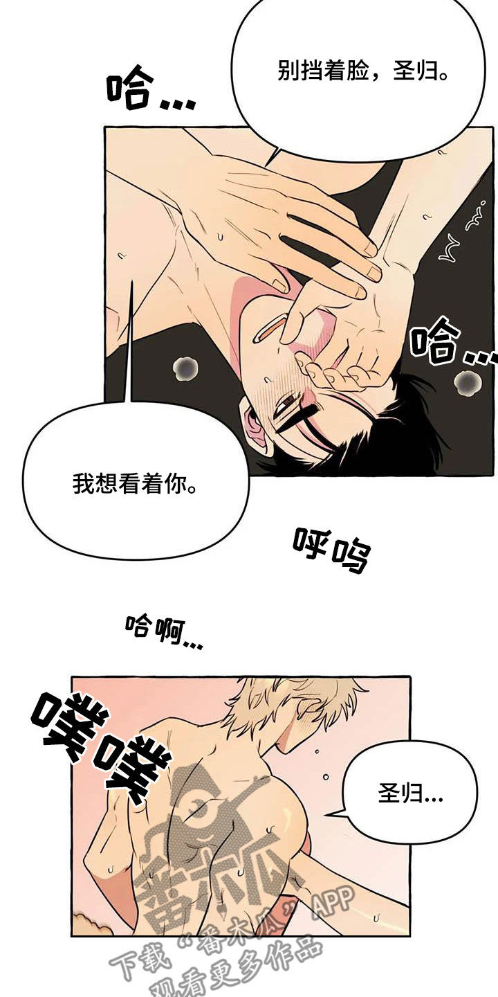 《忠犬三三》第24章短信 第11页