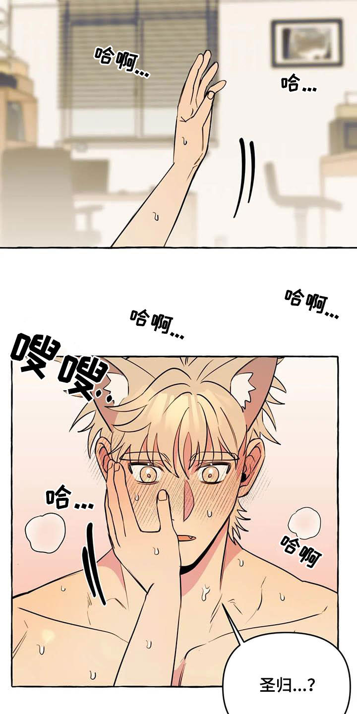 《忠犬三三》第24章短信 第14页