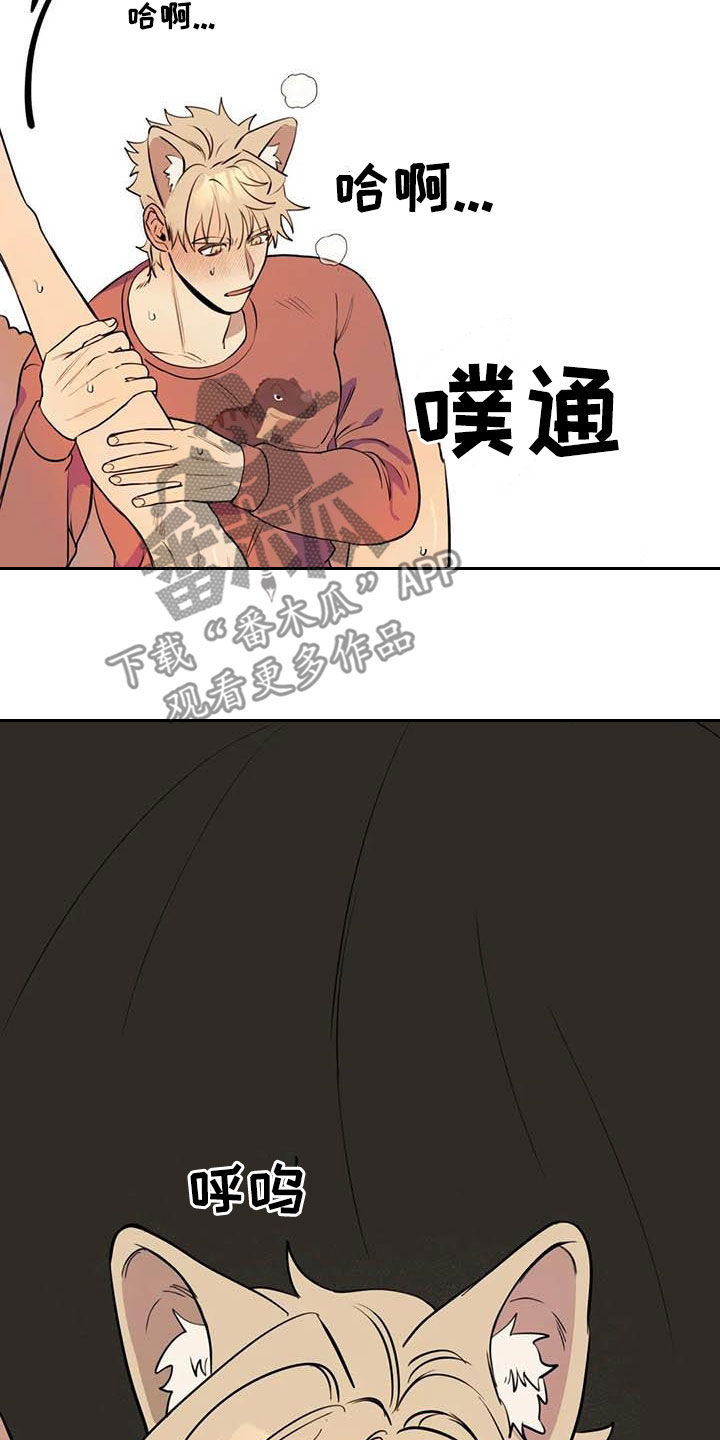 《忠犬三三》第24章短信 第6页