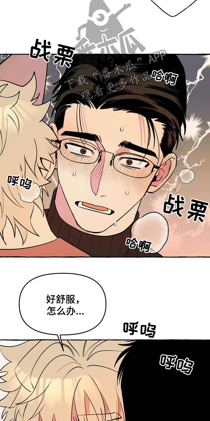《忠犬三三》第23章涂药 第15页