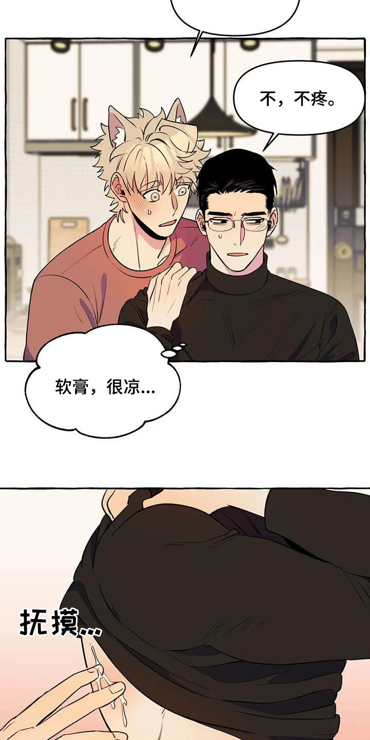 《忠犬三三》第23章涂药 第5页
