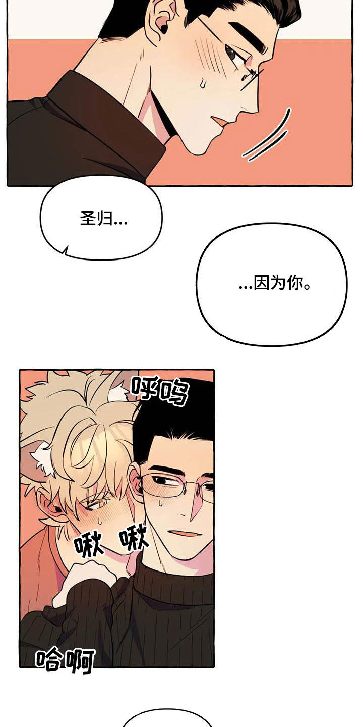 《忠犬三三》第23章涂药 第7页