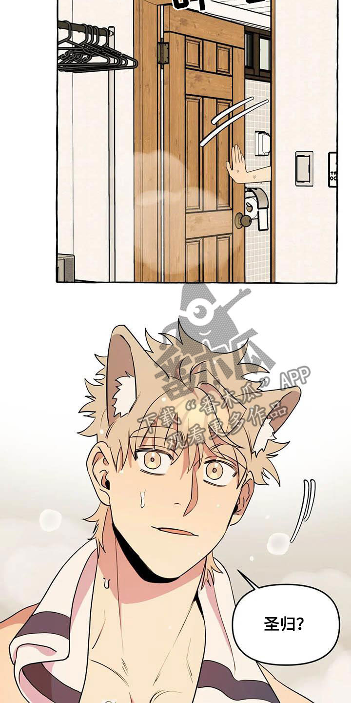 《忠犬三三》第25章约见 第15页