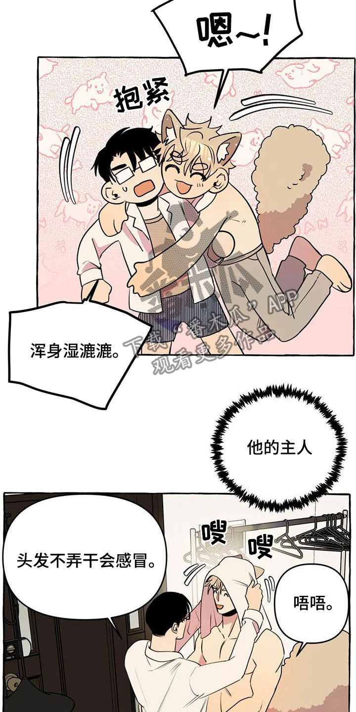 《忠犬三三》第25章约见 第17页