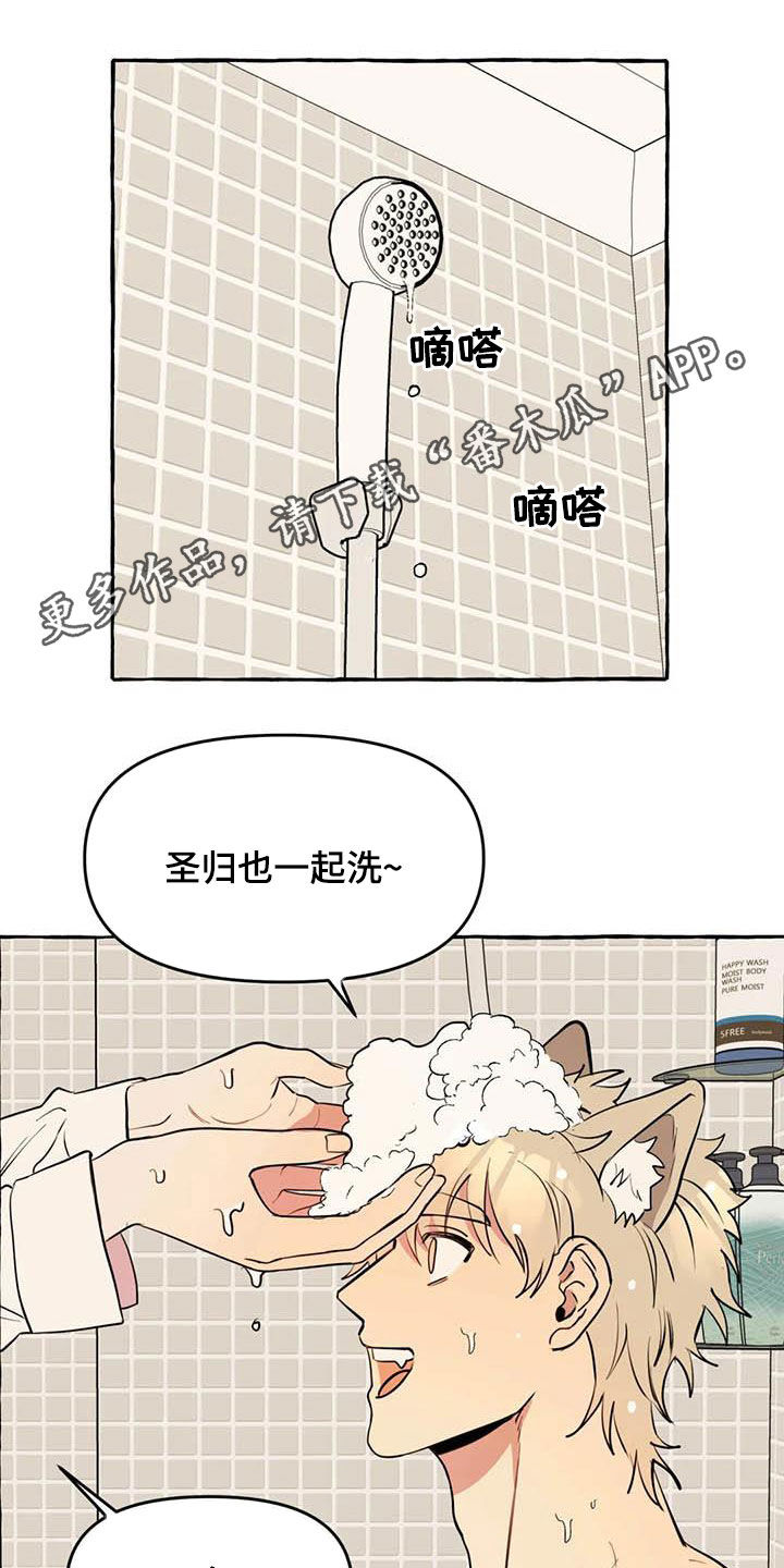 《忠犬三三》第25章约见 第1页