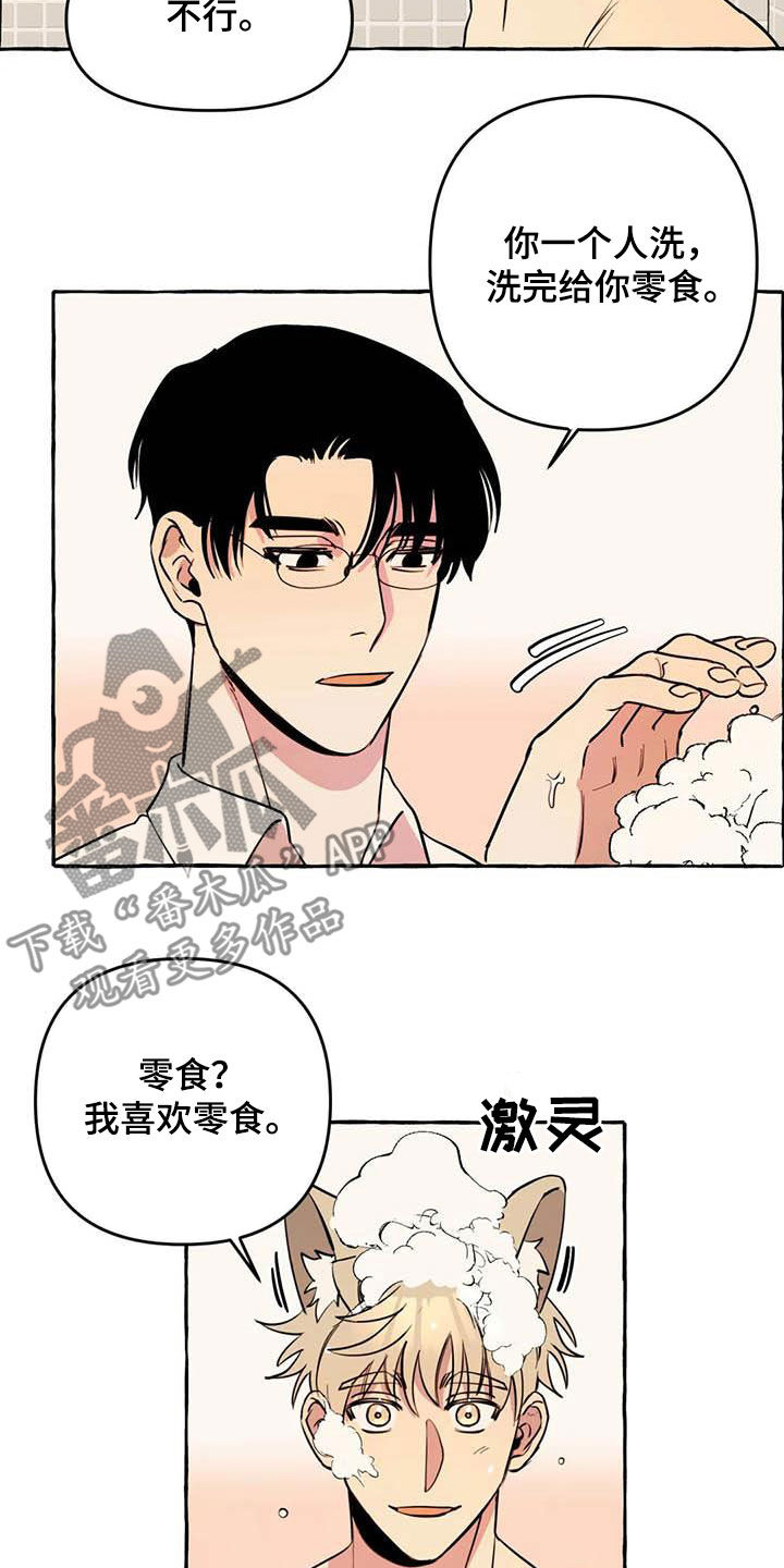《忠犬三三》第25章约见 第2页