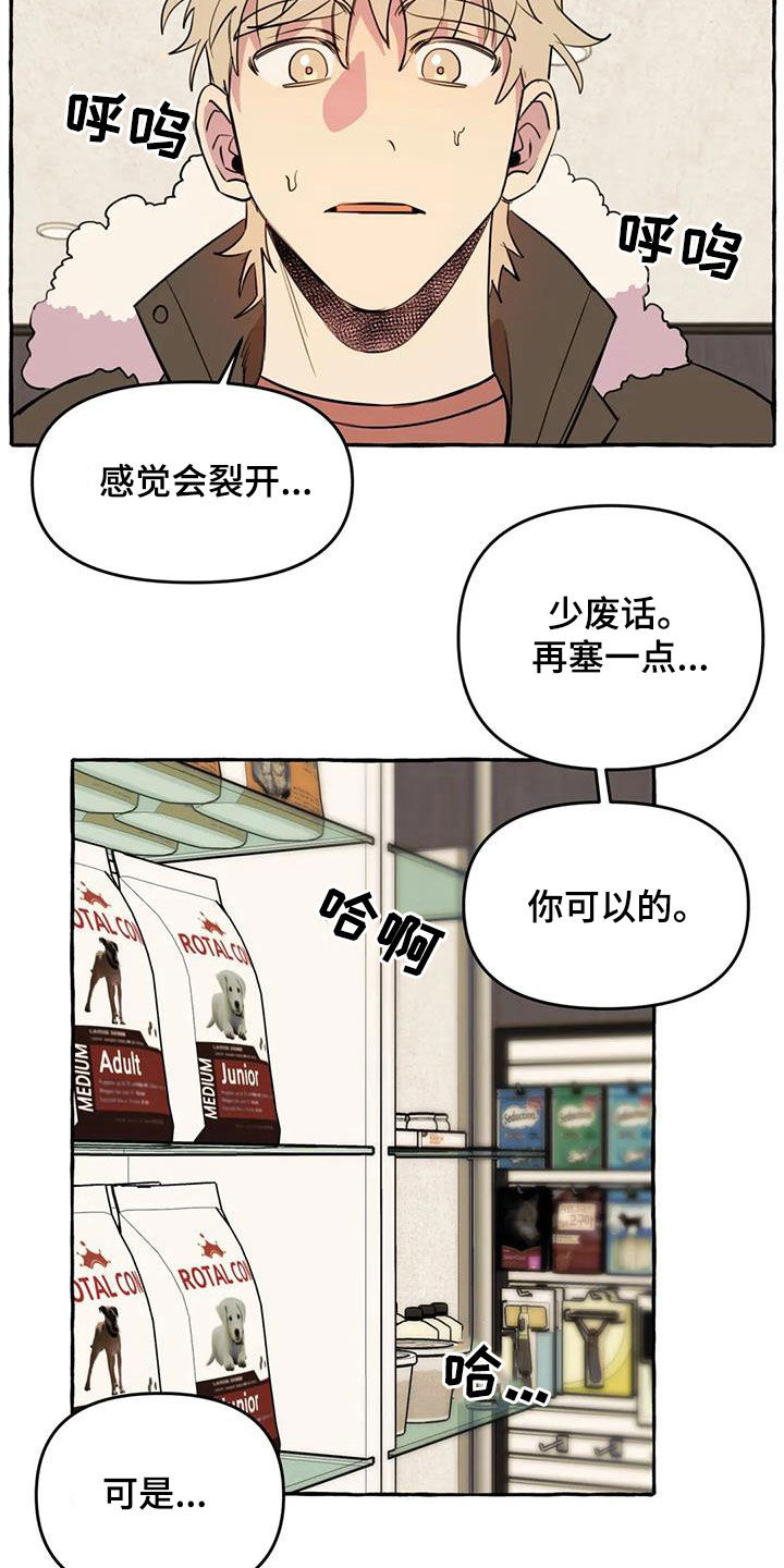 《忠犬三三》第27章最后一天 第11页