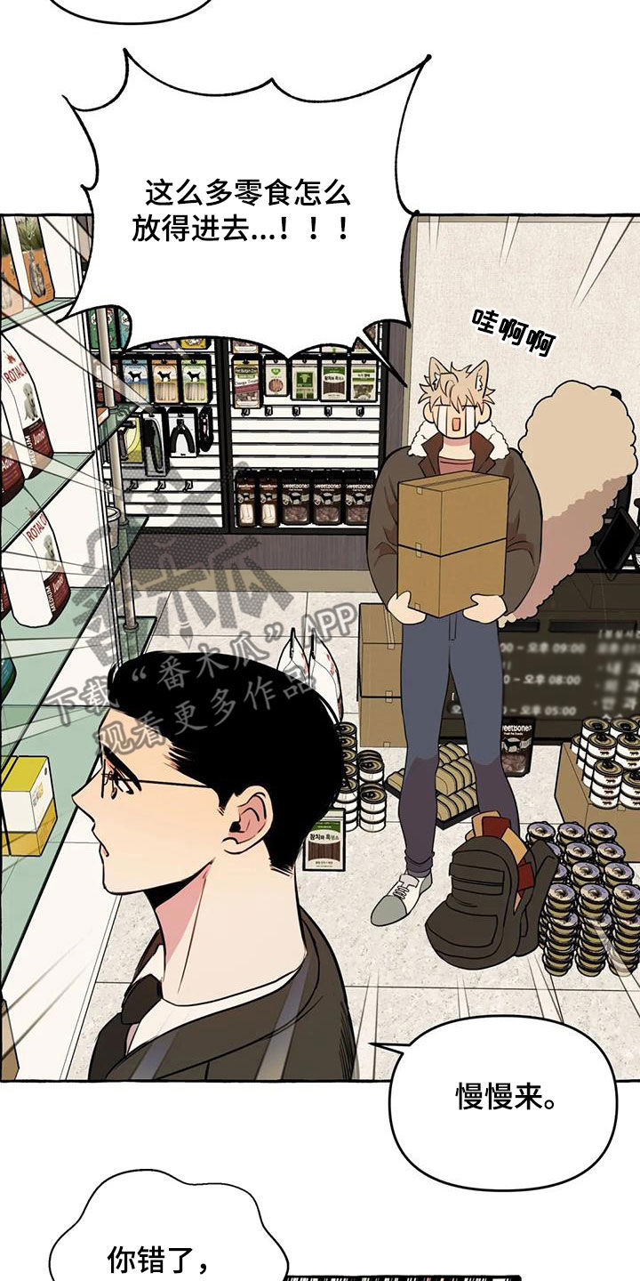 《忠犬三三》第27章最后一天 第12页