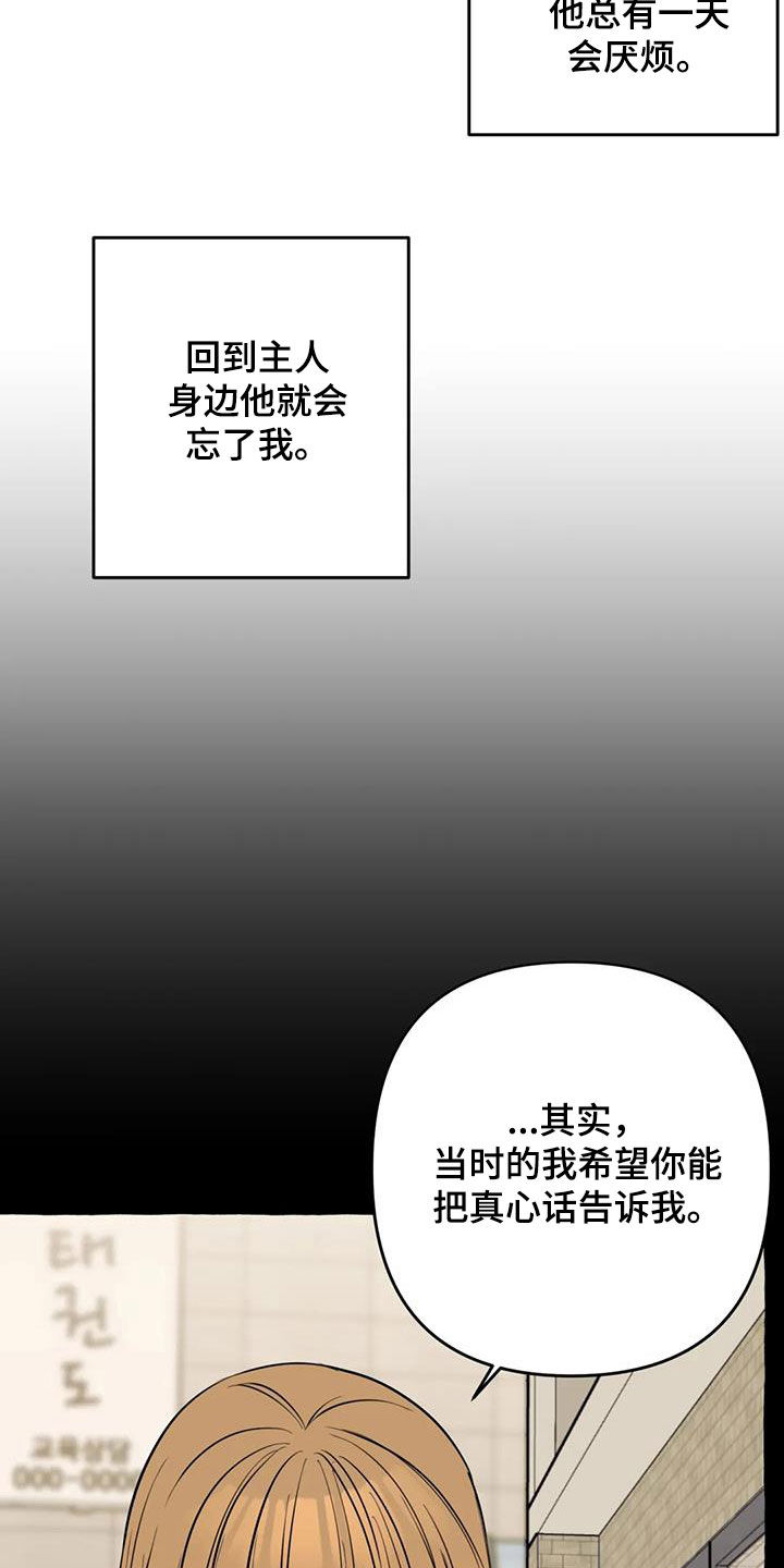 《忠犬三三》第27章最后一天 第20页