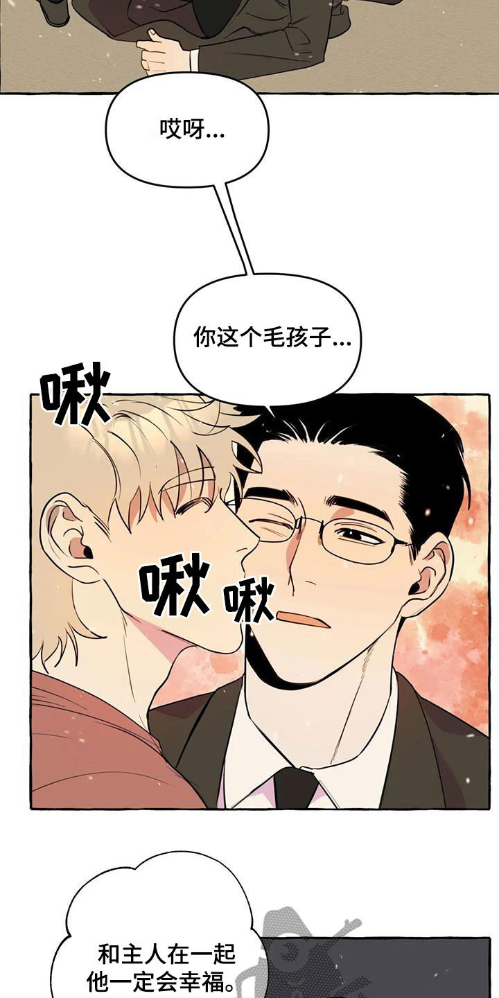 《忠犬三三》第27章最后一天 第5页