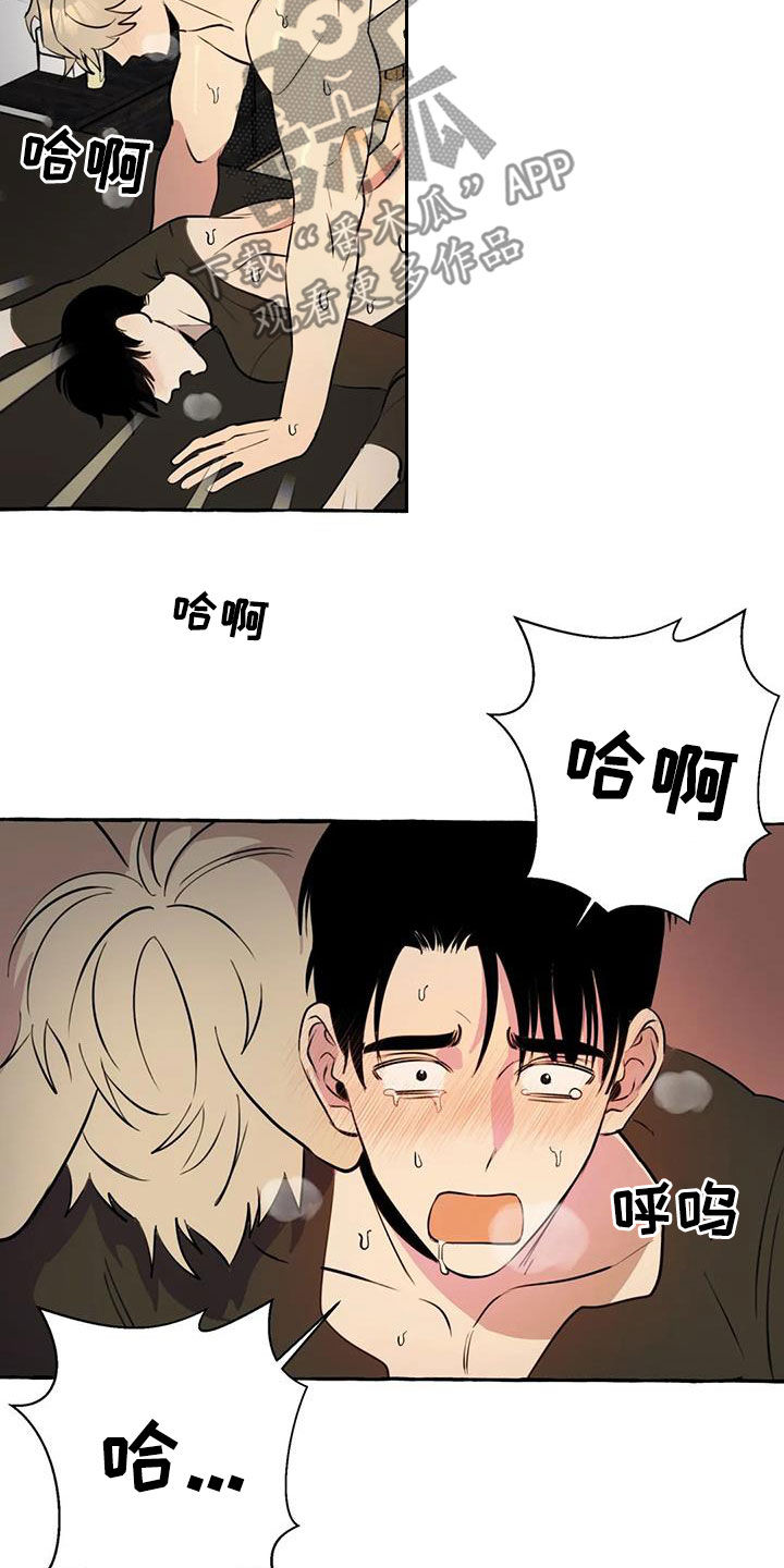 《忠犬三三》第30章太着急了 第11页