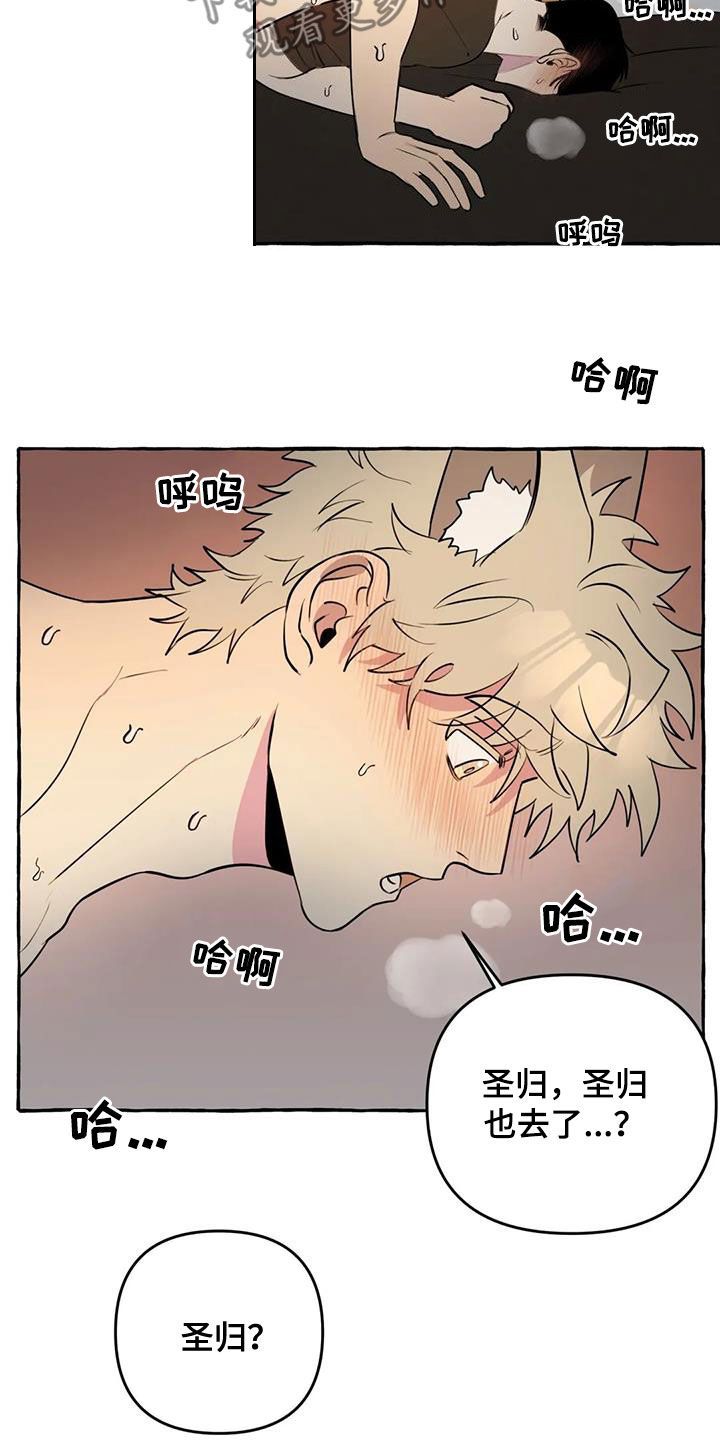 《忠犬三三》第30章太着急了 第13页