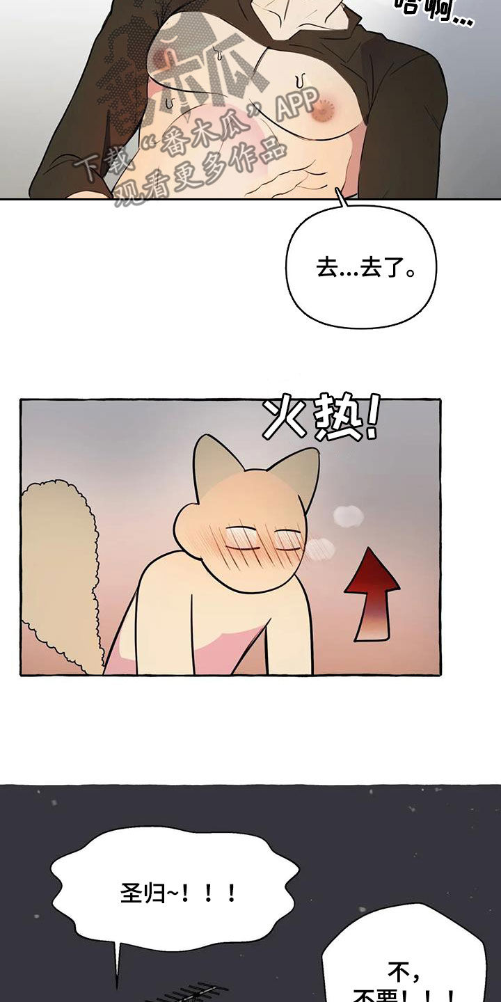 《忠犬三三》第30章太着急了 第15页